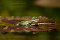 Nowi mieszkańcy w gdańskim zoo